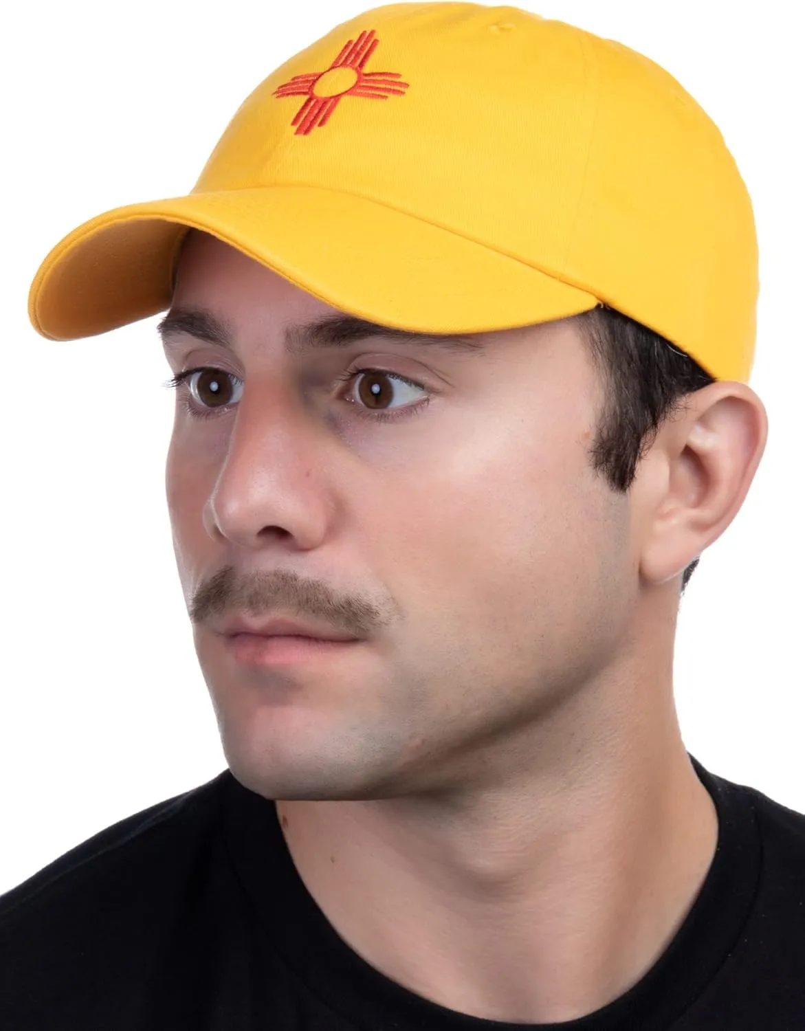 Ann Arbor T-shirt Co. American 50 States Pride Flag Baseball Low Profile Dad Hat for Men Women