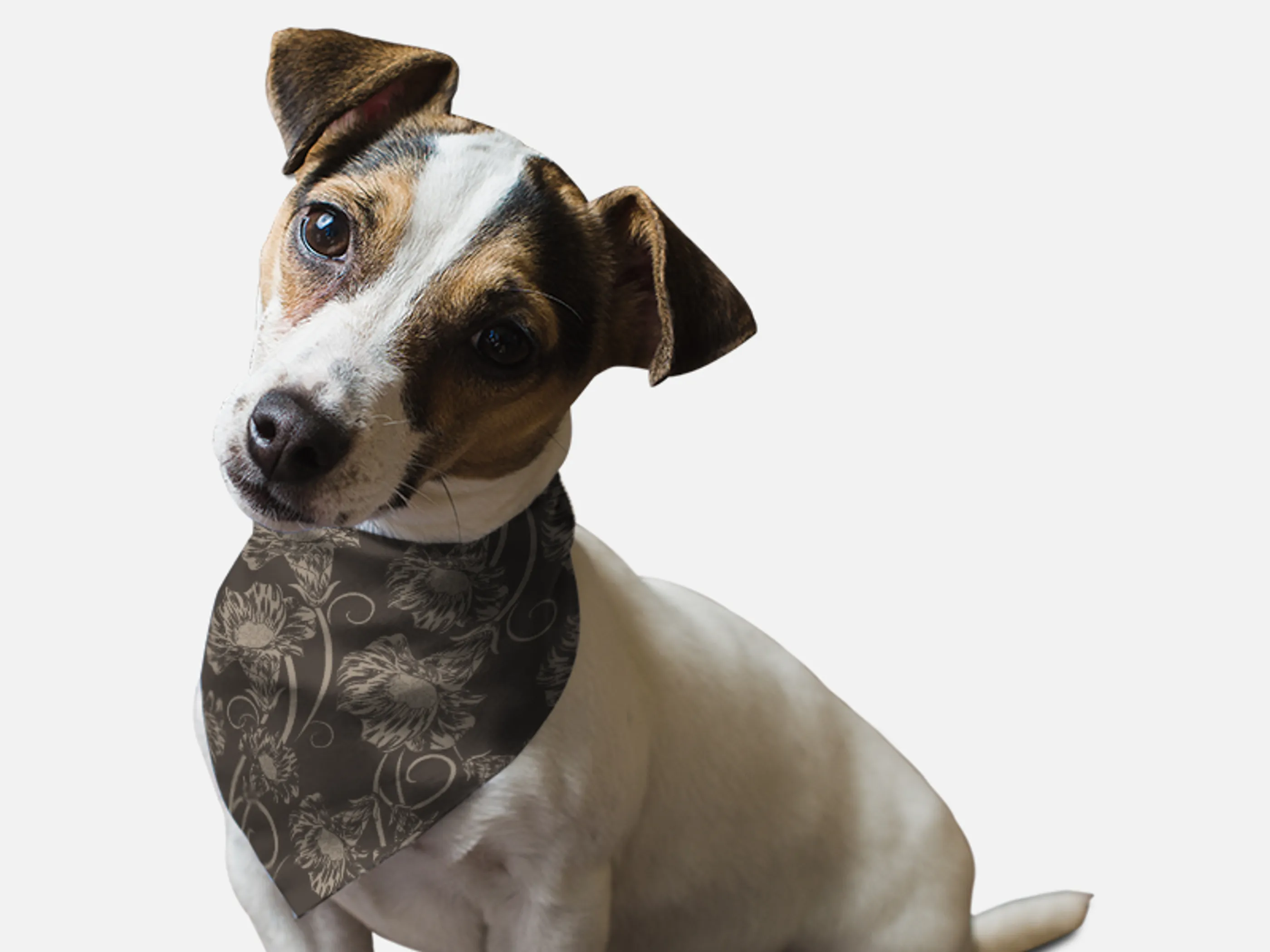 Bandoggies Dog Bandana - 1950's Retro Style
