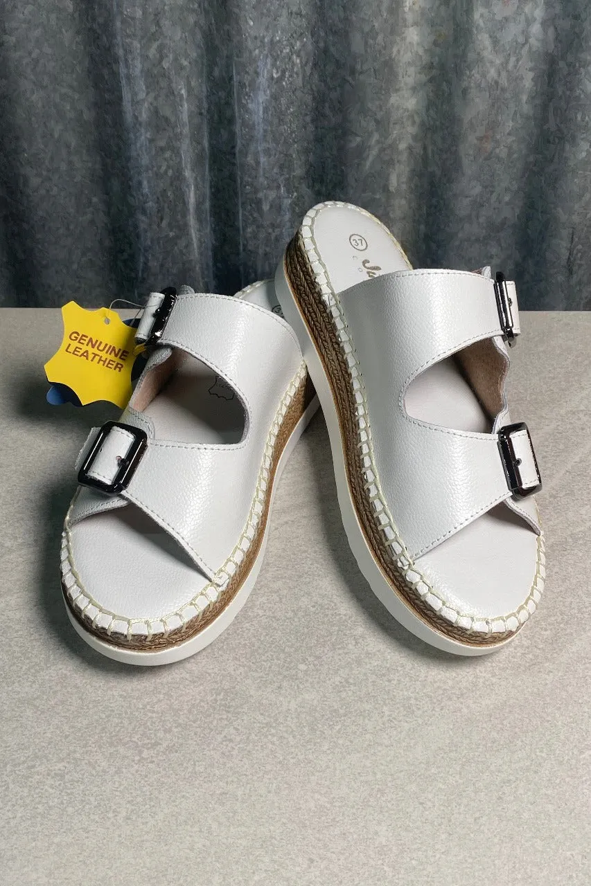 Cassia Slide