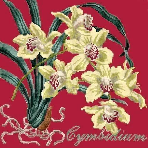 Cymbidium (Boat Orchid)