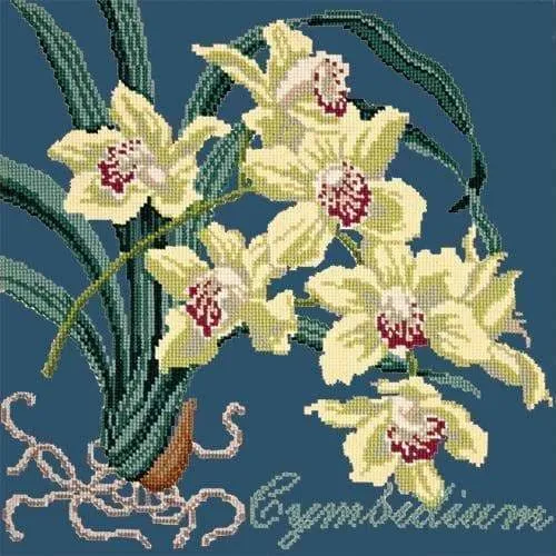 Cymbidium (Boat Orchid)