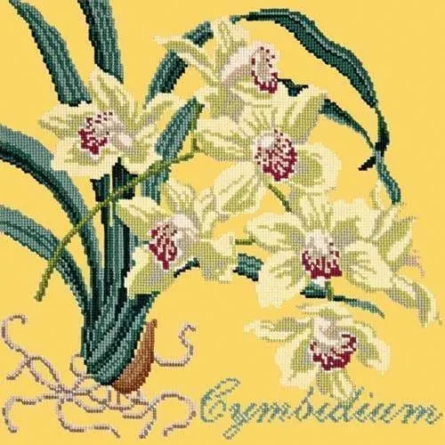 Cymbidium (Boat Orchid)