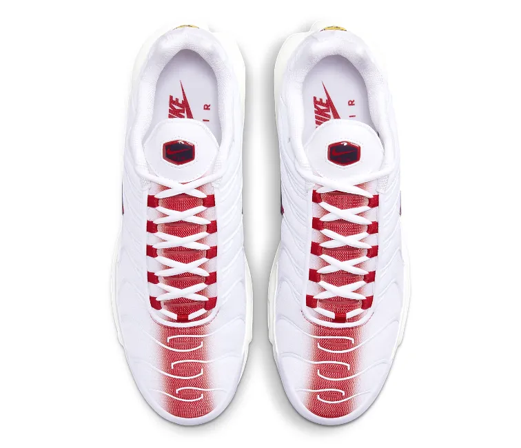 Men's Nike Air Max Plus TN (Bloodshot)